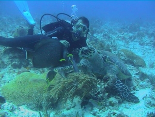  在墨西哥加勒比海潜水 